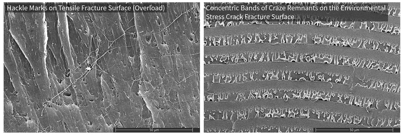Fracture Surface of Polycarbonate Failed under Different Mechanism