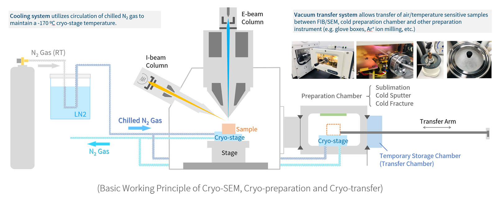Cryo-FIB/SEM Workstation